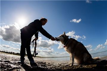 Der geplante Hundestrand in Kleinensiel konnte bis jetzt noch nicht realisiert werden.