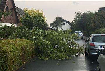 Der heftige Starkregen hinterließ nur wenige Schäden. Hier ist in Wulsdorf in der Straße Gösekamp ein Baum umgeknickt.