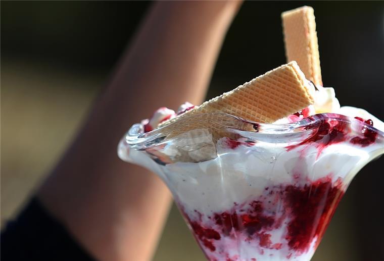 Mit Ziegenjoghurt oder Avocado zum Eis-Weltmeister Ein Eisbecher