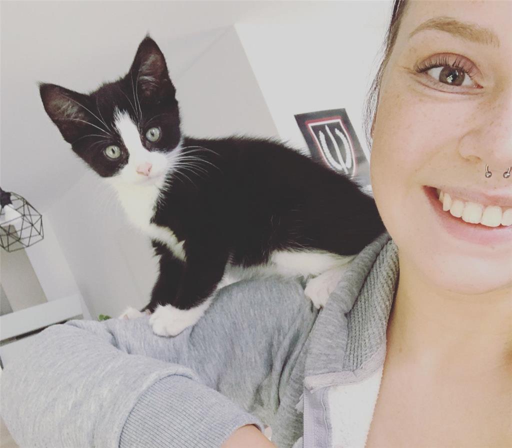 Der kleine Kater Twixx ist erst 14 Wochen alt. Er wohnt mit Frauchen Yara Helwig...