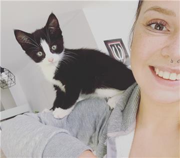 Der kleine Kater Twixx ist erst 14 Wochen alt. Er wohnt mit Frauchen Yara Helwig...