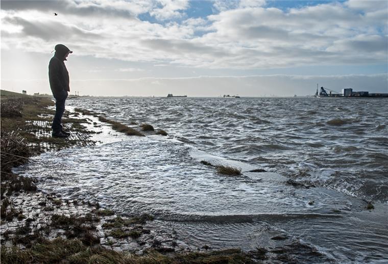 Lotusblüten statt Maisacker Ein Mann am Meer.