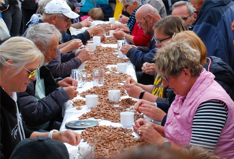 Teilnehmer beim Krabbenpul-Wettbewerb auf dem Wremer Krabbentag.