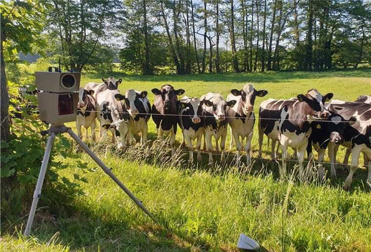 Wesermarsch: Hier plant der Landkreis Tempokontrollen Der Landkreis will auch in der kommenden Woche die Geschwindigkeit von Verkehrsteilnehmern messen. Wo er das unter anderem tun wird, hat er jetzt mitgeteilt.