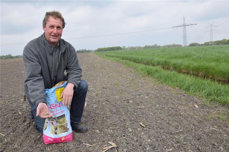 Wesermarsch: Landwirt sucht Paten für Blühstreifen Der Landwirt Karsten Padeken hat ein Ziel: Auf diesem drei Meter breiten Streifen entlang des Grabens soll es schon bald grünen und blühen. Überall soll das Summen von Wildbienen zu hören sein. Wer ihn dabei unterstützen möchte, kann Pate werden.