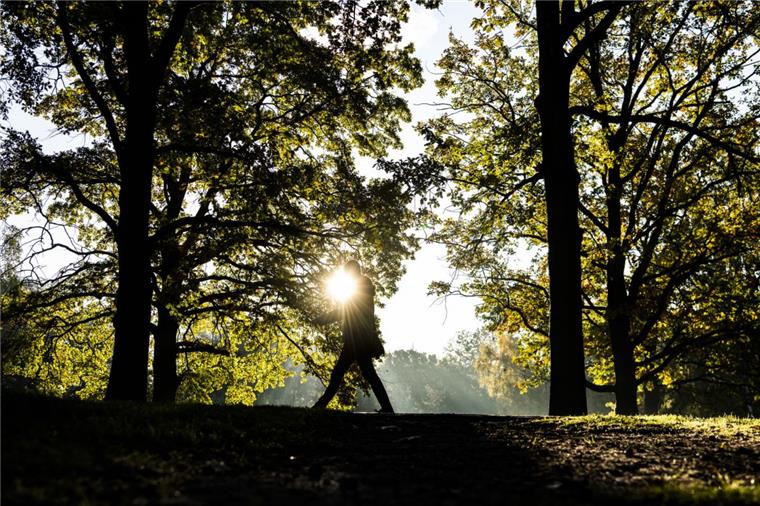 Nasser Oktober geht im Norden kühl und sonnig zu Ende Der letzte Oktobertag wird noch mal schön sonnig in Bremen und Niedersachsen. Insgesamt war der Oktober aber zu warm und zu nass.