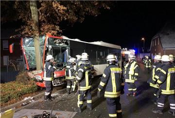 Der Linienbus prallte gegen einen Baum.