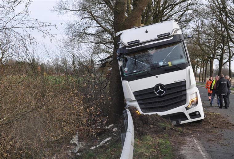Tiertransporter auf Bundesstraße verunglückt: 2500 Tiere tot Der Lkw wurde bei dem Unfall stark beschädigt.