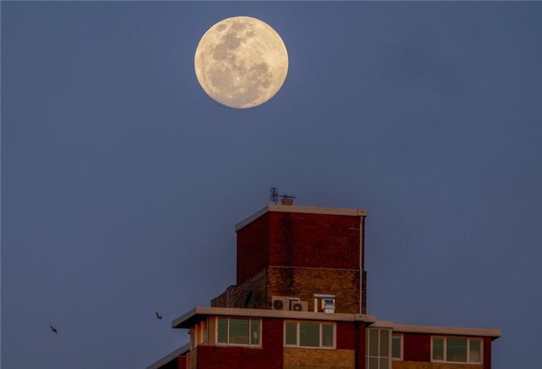 Supermond und partielle Mondfinsternis: So sah das Spektakel am Nachthimmel aus Der Mond geht über einem Wohnhochhaus in Sydney auf.