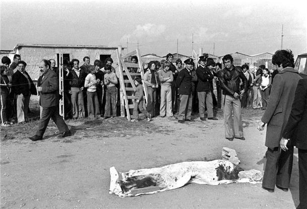 Der Mord an dem Regisseur Pier Paolo Pasolini beschäftigt Italien auch noch nach 50 Jahren. (Archivbild)