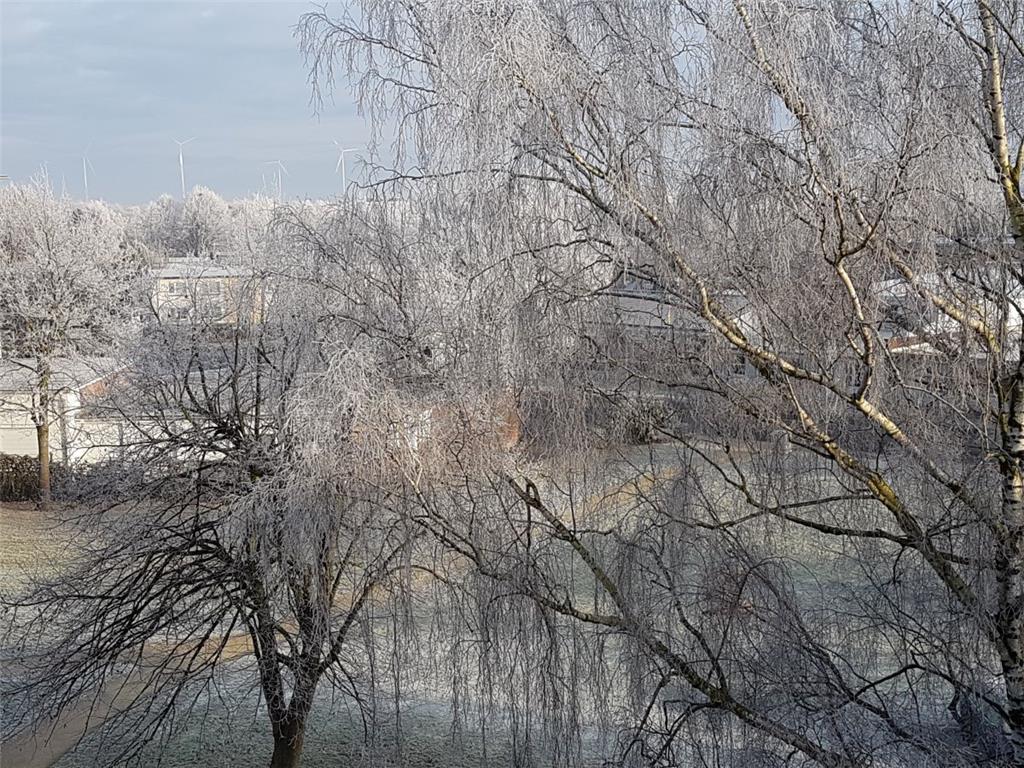 Der nächtliche Frost hat Bremerhaven in eine Winterlandschaft verwandelt. 