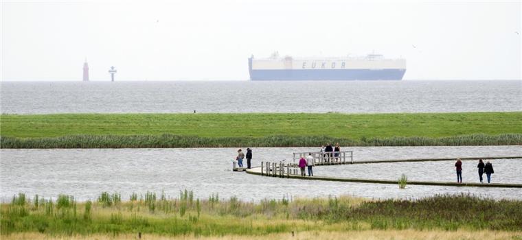 Publikumswahl: Befindet sich Deutschlands schönster Wanderweg in Butjadingen? Der Naturerlebnispfad durch den Langwarder Groden in Butjadingen ist nominiert als Deutschlands schönster Wanderweg. Internetnutzer können ab 1. Februar darüber abstimmen.