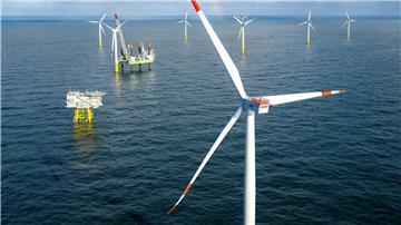 Der Offshore-Windpark Riffgat rund 15 Kilometer nördlich der Insel Borkum.