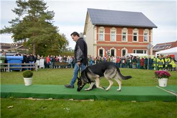 Der Osteuropäische Schäferhund „Mailo“ mit  Konstantin Nikolaus-Stefan. Foto: Sc...