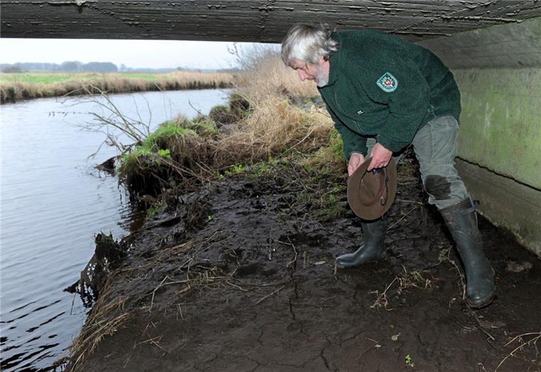Als Fährtenleser den Fischottern auf der Spur Der Otter-Spezialist und Umweltschützer Hermann Kück sucht am unter einer Brücke über die Lune bei Beverstedt nach Spuren von Fischottern. Der seit dem Ende der 1970er Jahre vom Aussterben bedrohte Fischotter hat hier, auf dem Gelände einer ehemaligen Kläranlage im Bereich der Lune eine neue, artgerechte Heimat gefunden. Foto Wagner