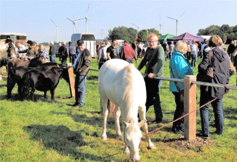 Ovelgönner Pferdemarkt lockt mit Umzug und Musik Pferde