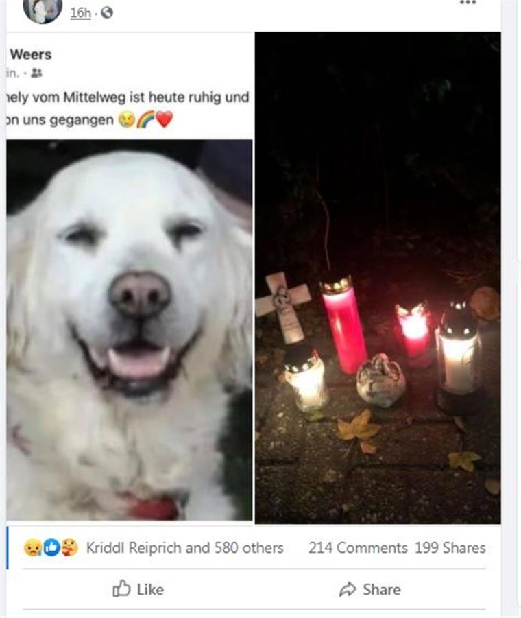 Nordenham: Hund Emily aus dem Mittelweg ist tot Der Post von Kai Weers wurde in Nordenhamer Facebook-Gruppen geteilt und erhielt viel Anteilnahme.