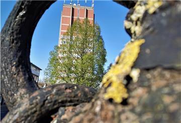 Der Rathausturm soll noch in dieser Hälfte des Jahres ein zweites Treppenhaus bekommen. Es wird von außen an der Südseite des Gebäudes (Foto) angebracht.