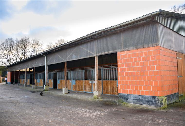Der Traum vom Pferdeglück: Hier wird er wahr! Pferdeboxen des Reiterhofs in Lunestedt
