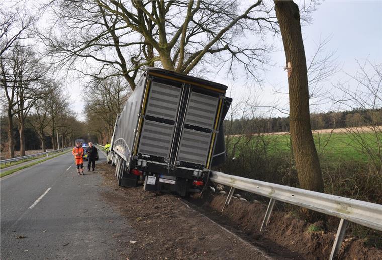 Tiertransporter auf Bundesstraße verunglückt: 2500 Tiere tot Der Sattelschlepper kam wegen einer Unachtsamkeit des Fahrers von der Fahrbahn ab.