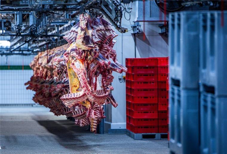 Video soll „Massaker“ an Tieren in Elsfleth zeigen - Veterinäramt zieht Konsequenzen Der Schlachthof wurde am Montag zunächst geschlossen. (Symbolbild)
