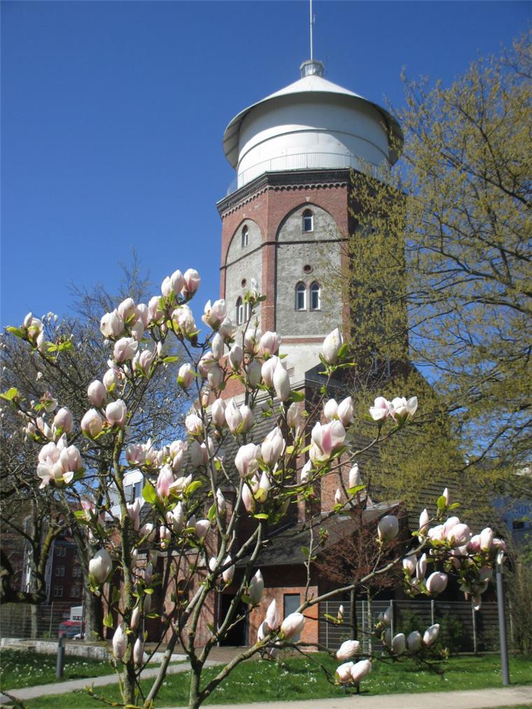 Wasserturm wird zur Event-Location Der Schwoonsche Wasserturm in Lehe steht eingebettet in den Stadtpark an der Hafenstraße, als Wahrzeichen des Klushof-Quartiers.