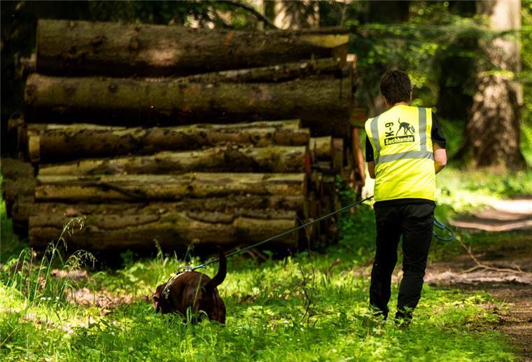 Hunderte Hinweise zu vermisstem Arian - Ermittlungen in alle Richtungen Ein Suchhund der K-9 Suchhunde Elbe-Weser beim Einsatz auf der Suche nach einem vermissten Jungen.