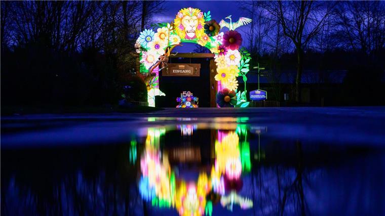 Der Serengeti Park in Hodenhagen im Heidekreis hat 1000 Lichtobjekte aufgestellt, darunter sind teils meterhohe Tier- und Fantasiefiguren.