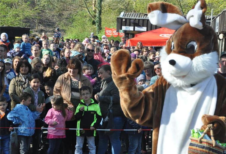 Der Spielpark Wingst lädt zur größten Ostereiersuche der Region ein: 500 Eier werden hier versteckt. 