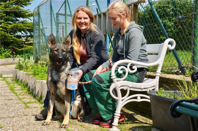 Tierischer Ärger ums Cuxhavener Tierheim Der Stein des Anstoßes: Die Vorsitzende Irene Führer mit einer der verplombten Spendendosen, Mitarbeiterin Alina Scholtyssek und Hündin Clips, die – wie so viel Tiere – derzeit ein Zuhause sucht.