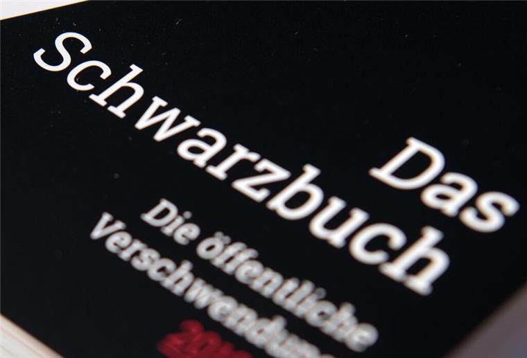 Von Geisterbus bis Raubkatzen: Schwarzbuch prangert Fälle im Norden an Das "Schwarzbuch" des Bundes der Steuerzahler liegt während einer Pressekonferenz bereit.