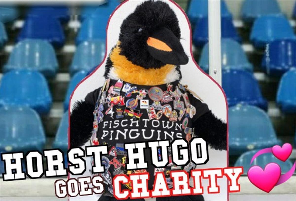 Pinguins-Fans kreieren eine Charity-Aktion Der Stoffpinguin Horst Hugo hat als Fan und Zuschauer sogar einen eigenen Papp-Aufsteller in der Eisarena Bremerhaven erhalten.