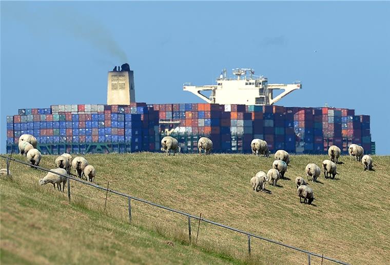 Elbvertiefung: Urteil des Bundesverwaltungsgerichts wird erwartet Der Streit um die Elbvertiefung wird vor dem Bundesverwaltungsgericht fortgesetzt.