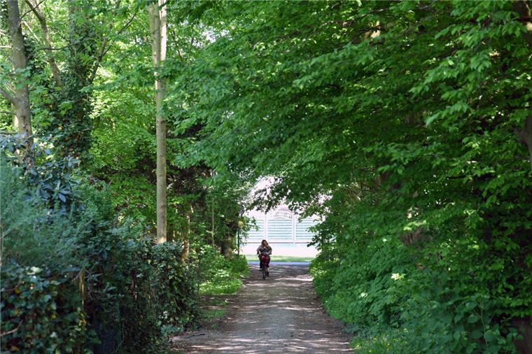 Neue Aue: Streit zwischen Stadt und Bürgerinitiative geht weiter Der Streit zwischen der Stadt Bremerhaven und der Bürgerinitiative Meergestrüpp geht in die nächste Runde.