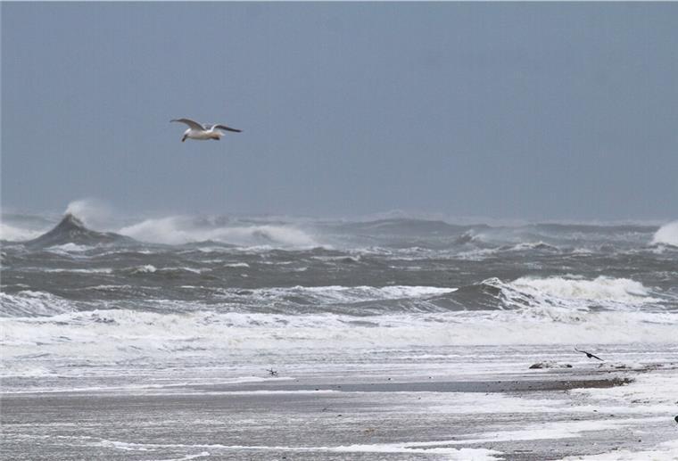 Weniger Wasser als erwartet - Sturmflutgefahr aber noch nicht vorbei Der Sturm hat, nach ersten Einschätzungen, die Nordseeküste nicht so stark betroffen, wie befürchtet.