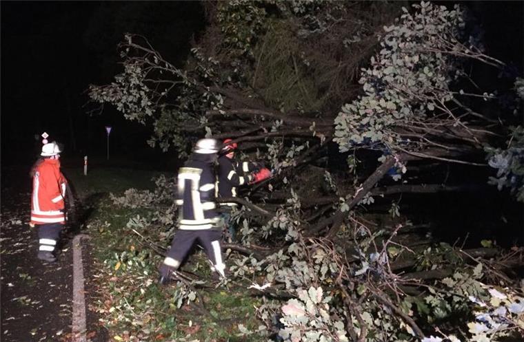 Feuerwehren rund um Zeven bei Sturm im Dauereinsatz Der Sturm sorgte schon in der Nacht für etliche umgestürzte Bäume. Feuerwehrleute waren zum Teil im Dauereinsatz, um Gefahrenstellen zu beseitigen.