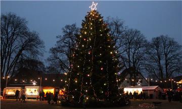 Der Tannenbaum ist schön beleuchtet.