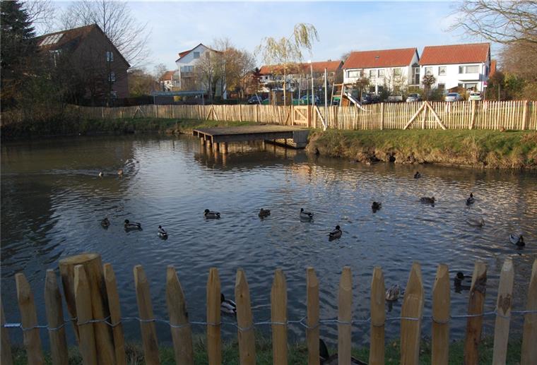 Ein Treffpunkt für Jung und Alt Der Teich ist aus seinem Dornröschenschlaf erweckt und neu gestaltet worden. Es kam eine Steganlage dazu. Aus Sicherheitsgründen musste aber ein Zaun um den Teich gezogen werden.