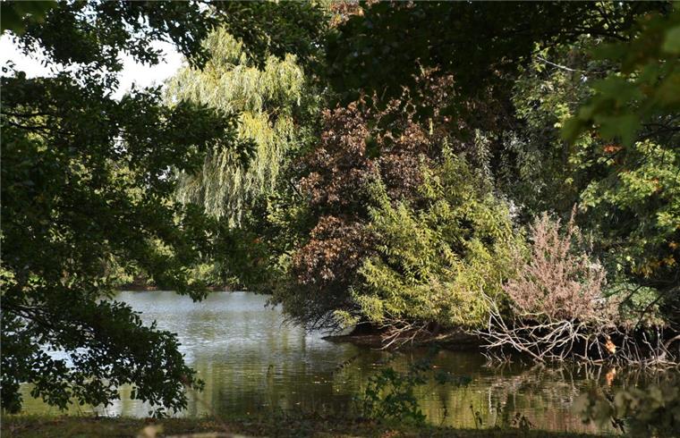 Schwanewede: Polizei lässt für Leichensuche See leerpumpen Der Tietjensee in Schwanewede soll leergepumpt werden. Die Polizei hofft, dort die Leiche einer verschwundenen Frau zu finden.