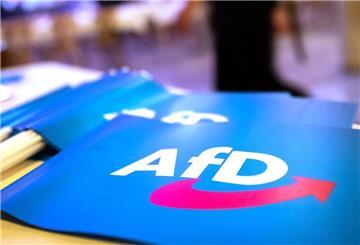 Mehrere Fahnen der AfD liegen auf einem Tisch. 