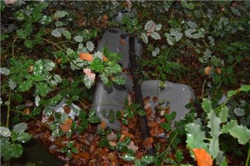 Der Wald rund um Drangstedt vermüllt immer mehr. 