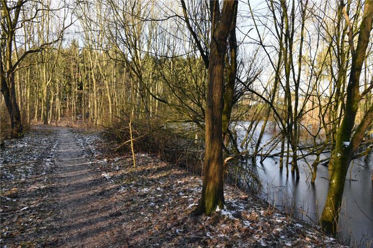 Bremerhaven: Wasserwerkswald muss gesperrt werden Der Wasserwerkswald in Bremerhaven Wulsdorf muss aus Sicherheitsgründen vorübergehend gesperrt werden. Waldwege sind überflutet und Bäume im Wasser drohen umzukippen.
