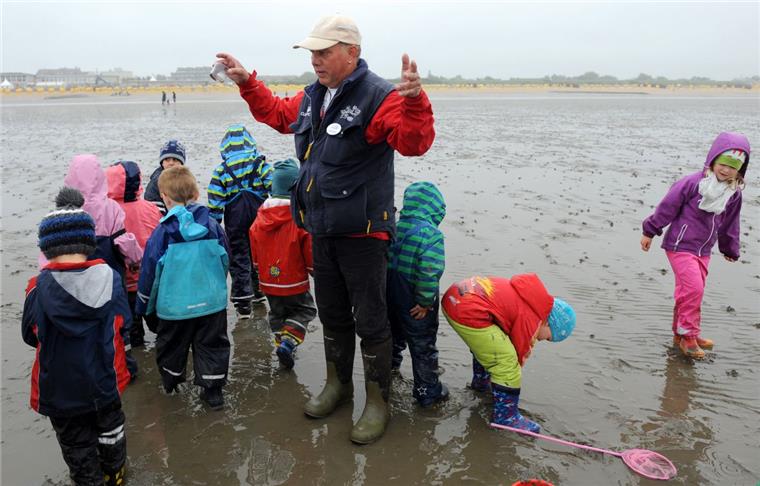 "Blaues Klassenzimmer" lehrt Kindern das Wattenmeer Der Wattführer vom "Blauen Klassenzimmer", Günther Kruggel, führt eine Kindergartengruppe aus Hemmoor vor dem Strand von Döse in Cuxhaven durch das Watt.