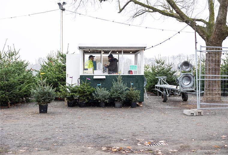 Weihnachtsbaum-Verkauf läuft gut an Der Weihnachtsbaumverkauf in Niedersachsen ist gut angelaufen.