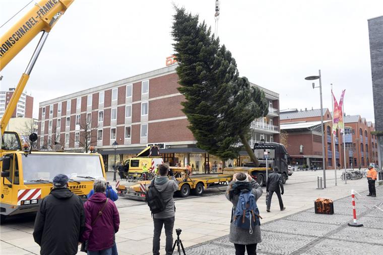Der Weihnachtsmarkt kann kommen: Seit Freitag steht der Weihnachtsbaum wieder vor dem Theater.