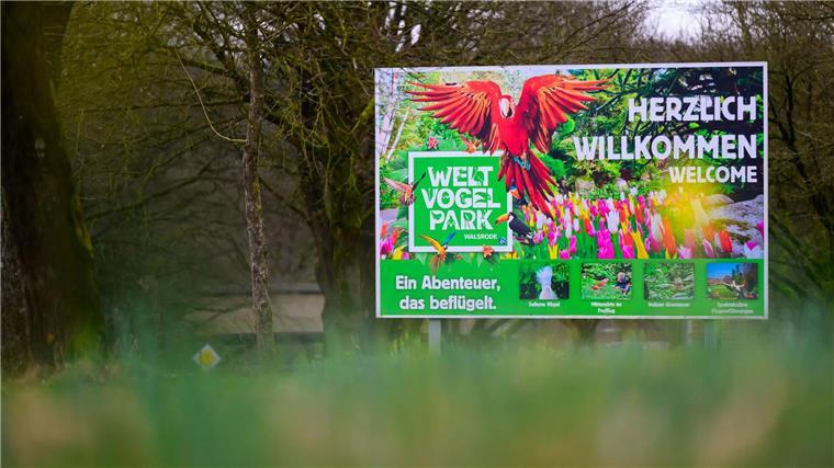 Der Weltvogelwelt Walsrode öffnet am Wochenende seine Pforten. 