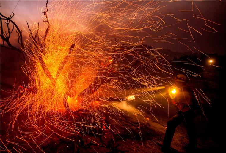Verheerende Waldbrände erreichen den Süden Kaliforniens Feuer und Funken, Baumstämme brennen