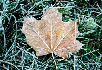 Der Winter kommt so langsam im Norden Deutschlands an. Es kann zu Frost kommen.