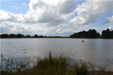 Der Wollingster See, ein Natur-Idyll.