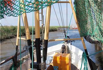 Der Wremer Kutterhafen: Anziehungspunkt für Einheimische und Urlauber aber auch Arbeitsplatz für Kutterfischer.